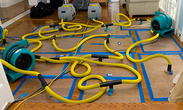 Professional Crawl Space Water Removal technician working in Pala, CA